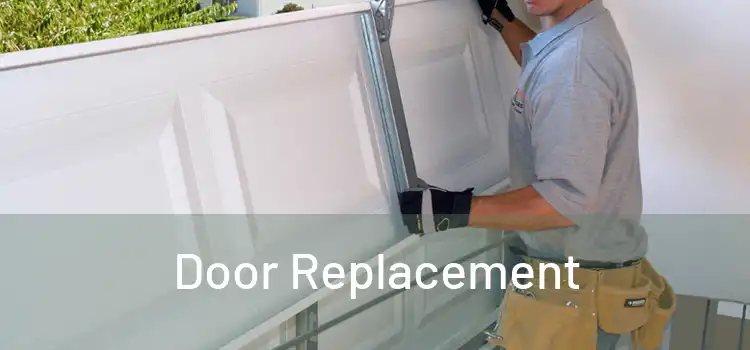  Door Replacement 