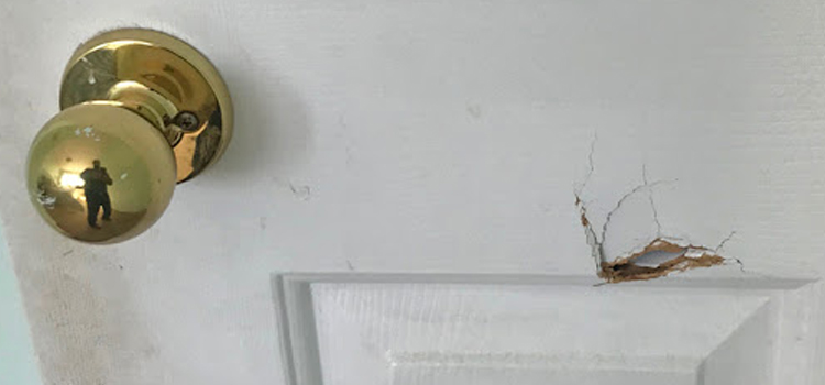 interior door hole repair Oak Park