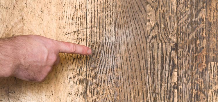 Wood Door Scratch Repair in Oak Park